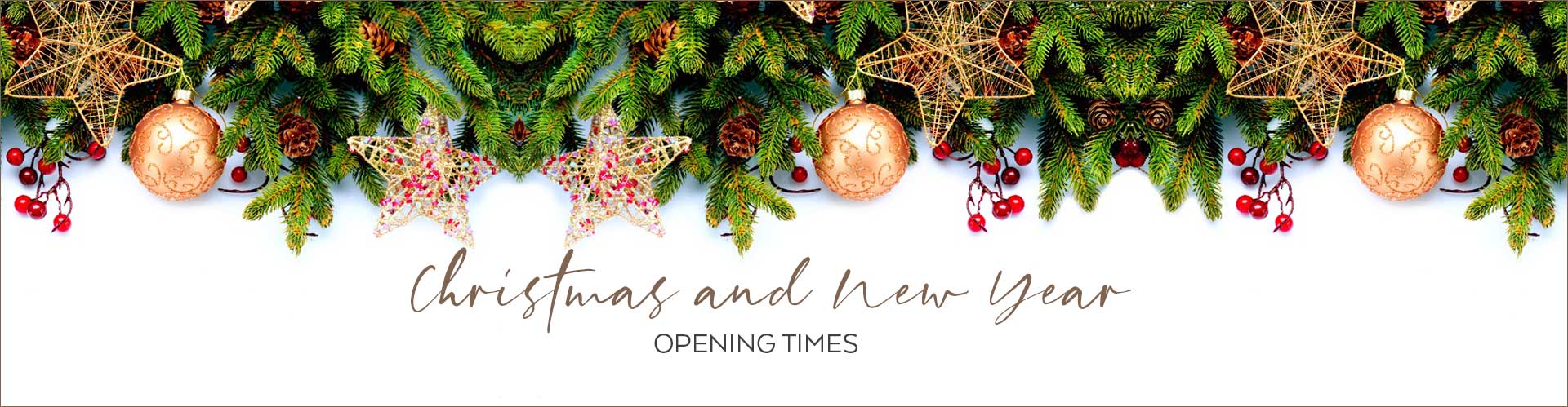 christmas opening times at DNA Aesthetics in Canada Water